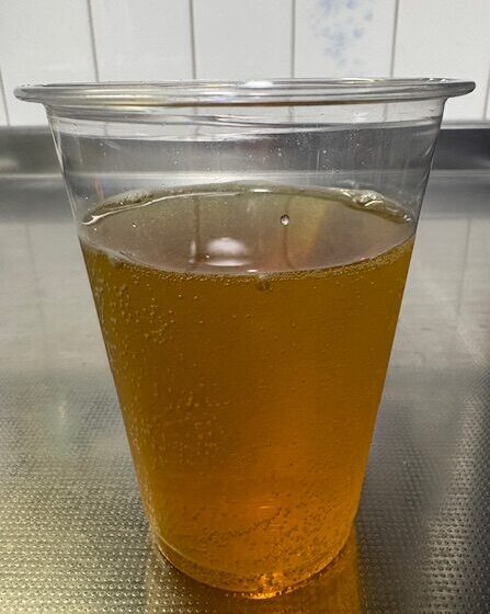 ミラクルエナジーV